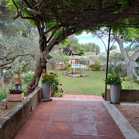 Provencale * Арль